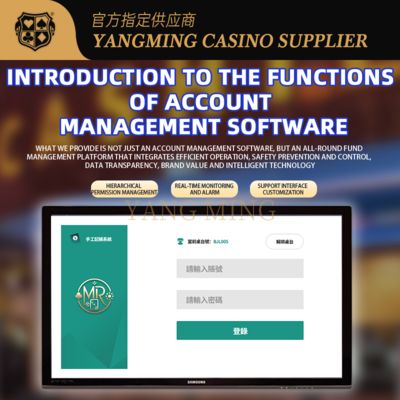 kopen Aanpasbaar boekhoudsysteem van casino's Efficiënt en veilig financiële beheer online vervaardiging